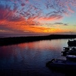 DSC_3966.jpg