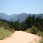 Alberts Pass, Route 339