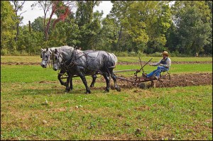 Horse Drawn Plow Photo credit to lapstrake @ Flickr