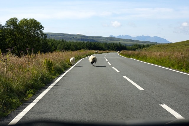 Traffic Traffic