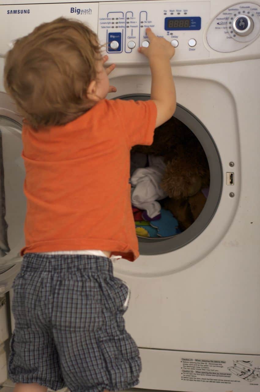 How Bears Do Laundry Caroline Collie