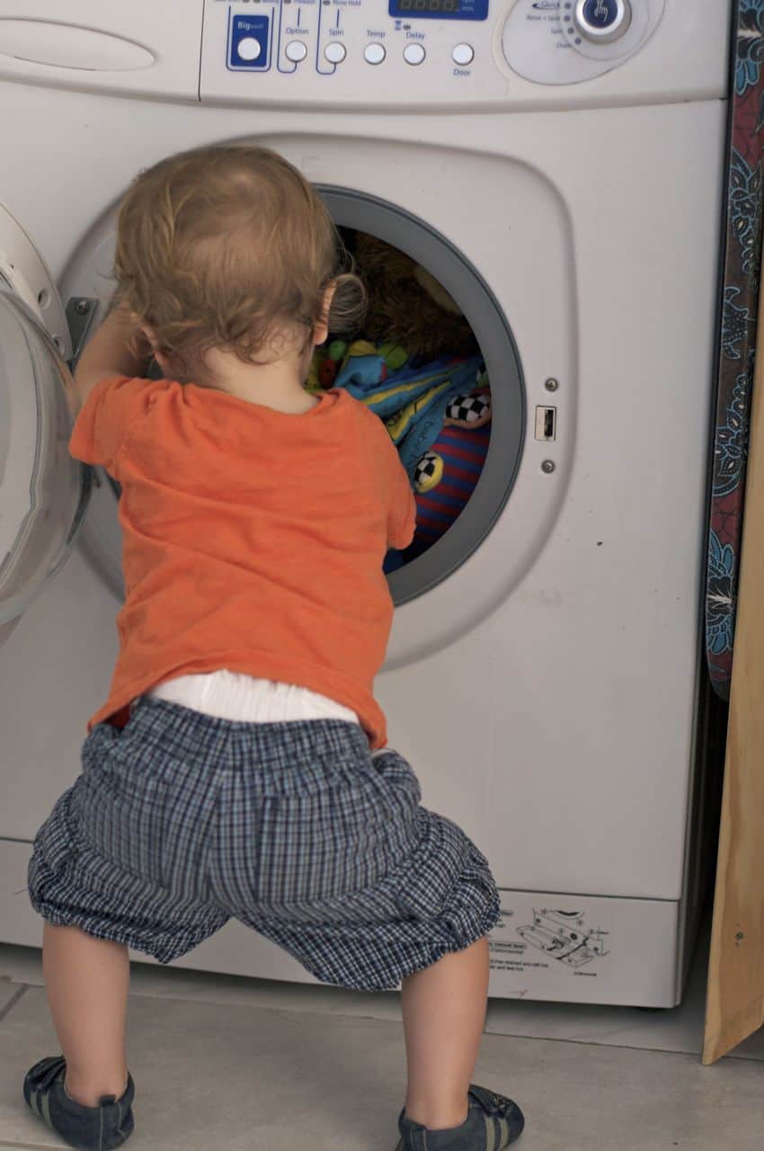 How Bears Do Laundry Caroline Collie