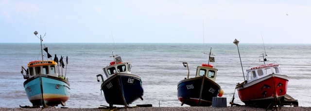 Beer Boats