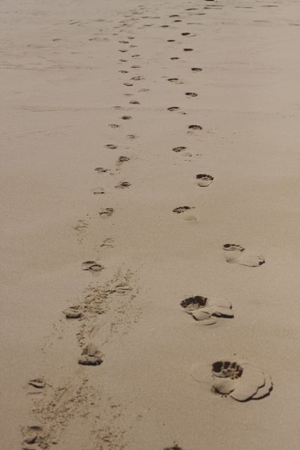 step by step, day by day