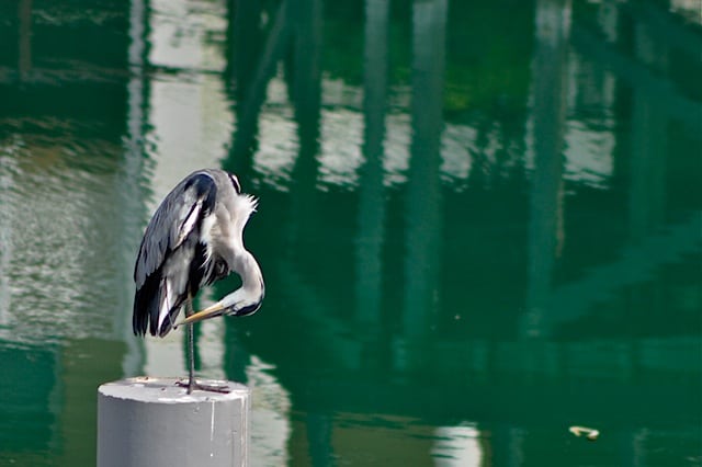 DSC_1636_2