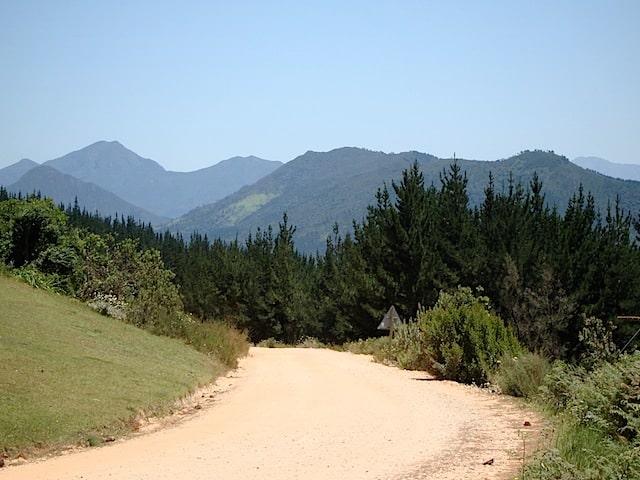 Alberts Pass, Route 339