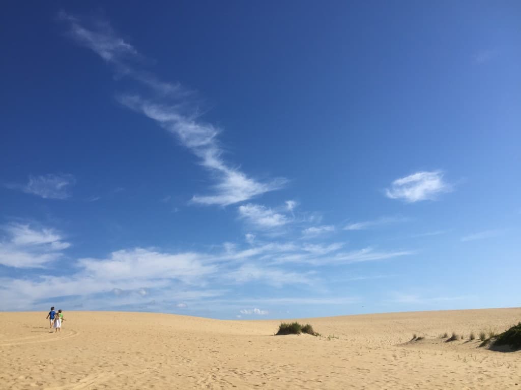 Kids at Jockey's Ridge